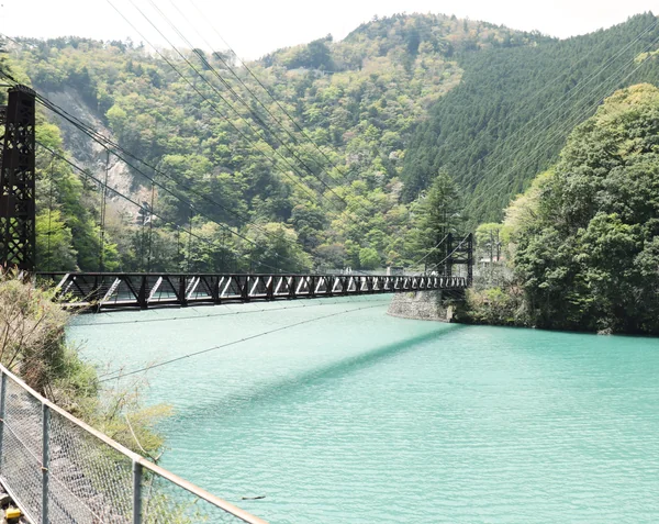 投稿：大井川鉄道井川線🚃の旅