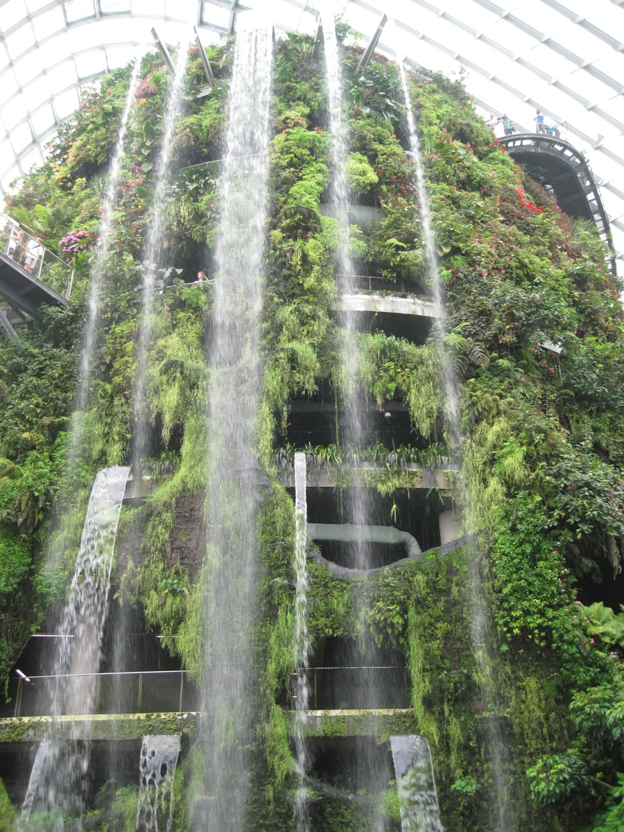 投稿写真：ガーデンバイザベイのクラウドフォレスト