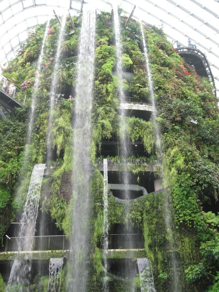 投稿：ガーデンバイザベイのクラウドフォレスト