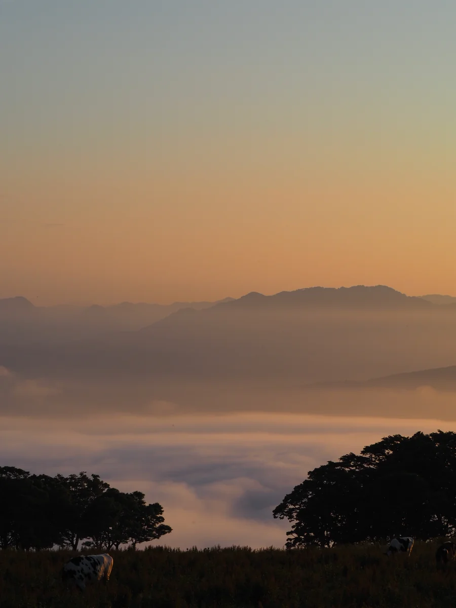 投稿写真：夕暮れの雲海