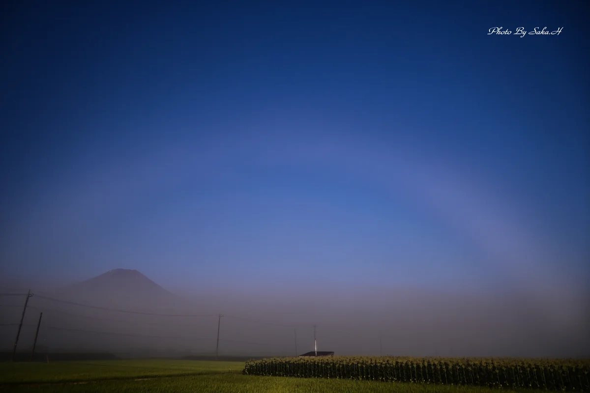 Hiromi Sakataさんの投稿写真