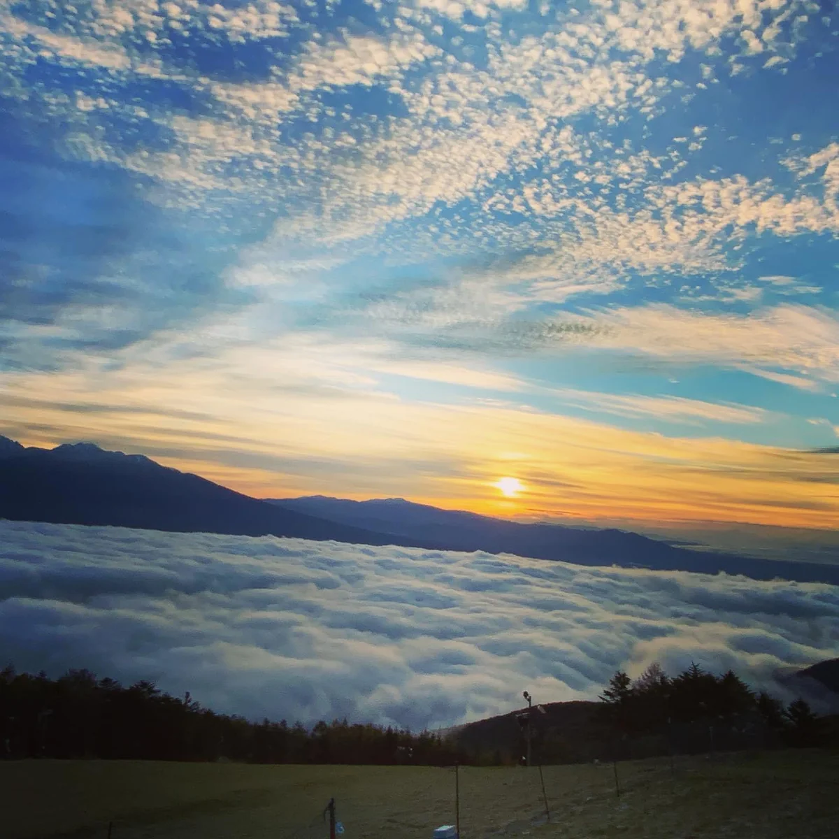投稿写真：雲海からの日の出と鱗雲