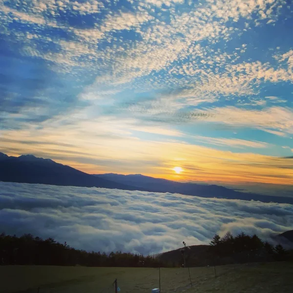 投稿：雲海からの日の出と鱗雲
