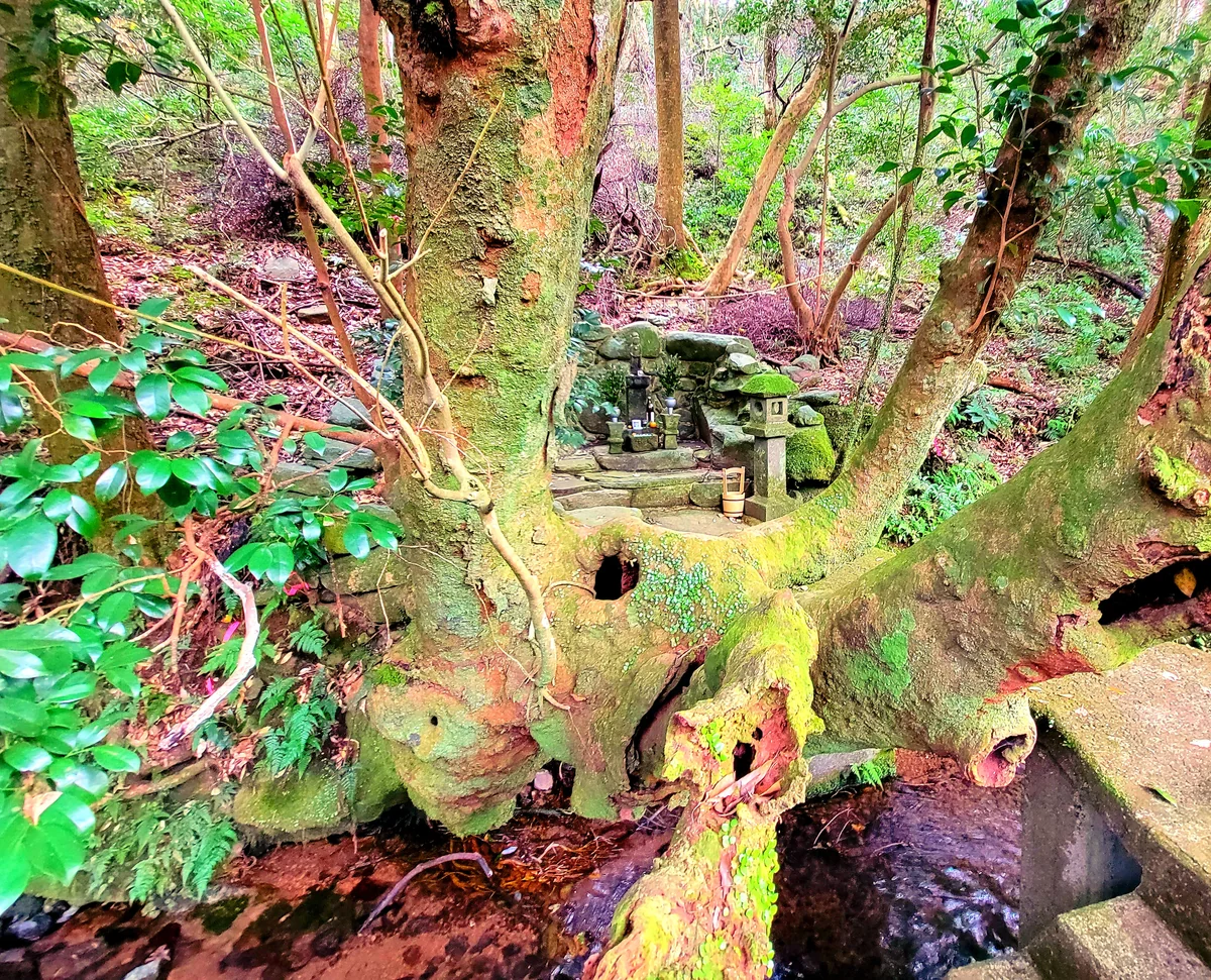 投稿写真：井手之平水神様