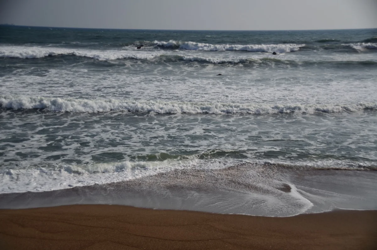 投稿写真：春の波濤