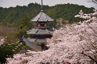  | 絶景事典