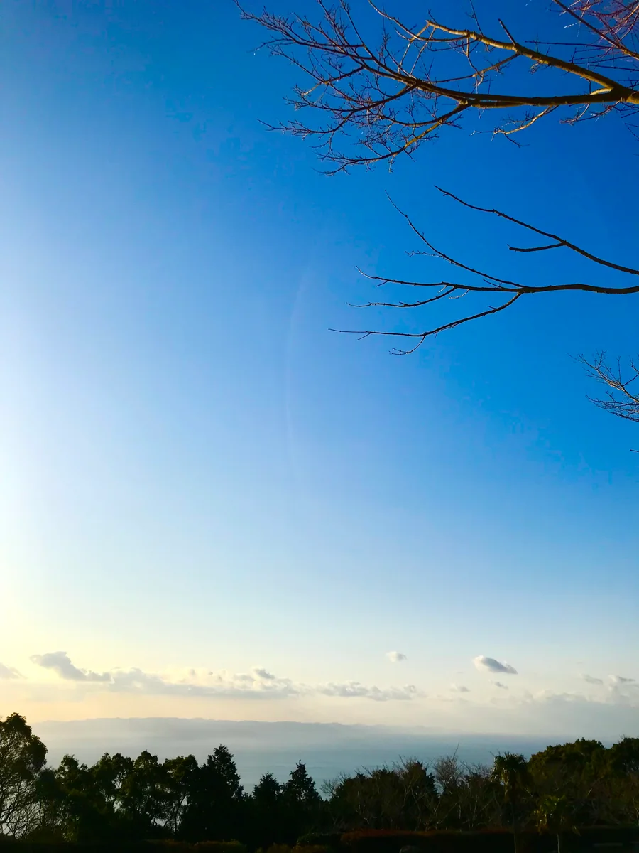 投稿写真：白夜