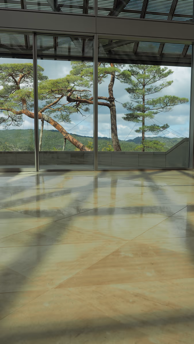 投稿写真：MIHO MUSEUM