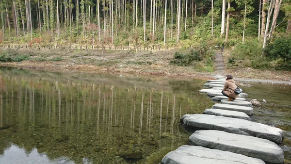 投稿：嵐山渓谷バーベキュー場 飛び石