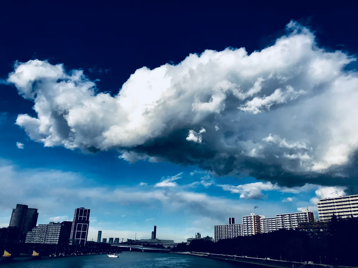 投稿写真：うつり気