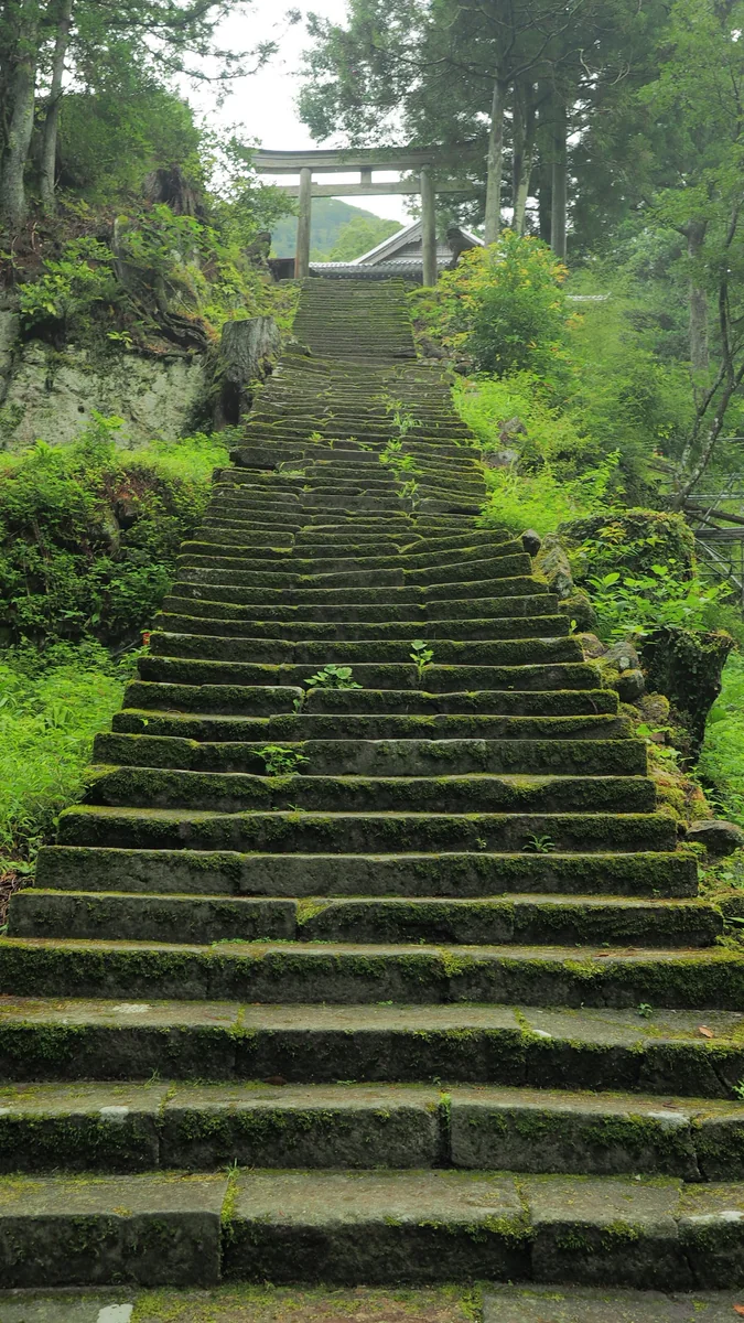 投稿写真：苔むした石段