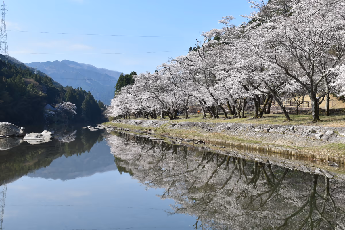 投稿写真：鏡の川