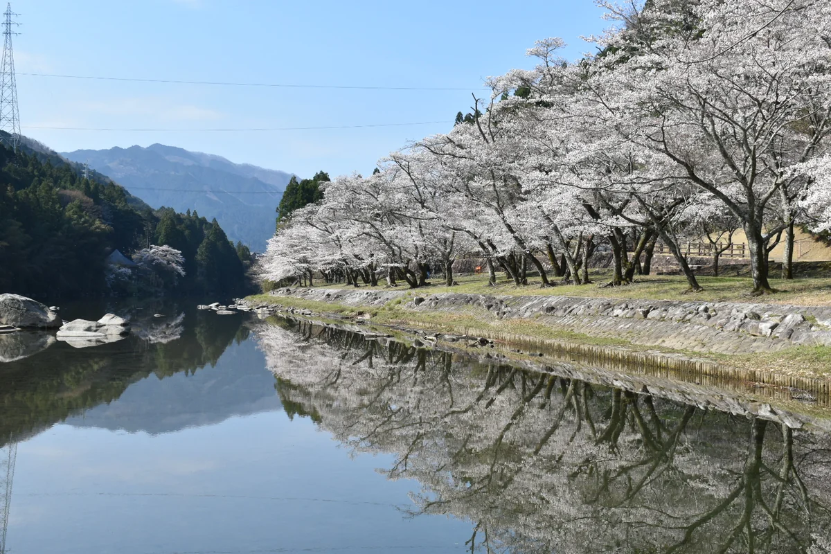 投稿写真：鏡の川