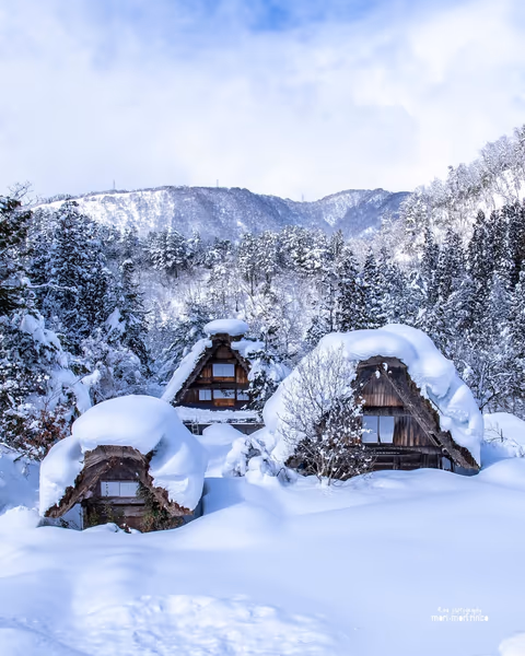 投稿：雪
