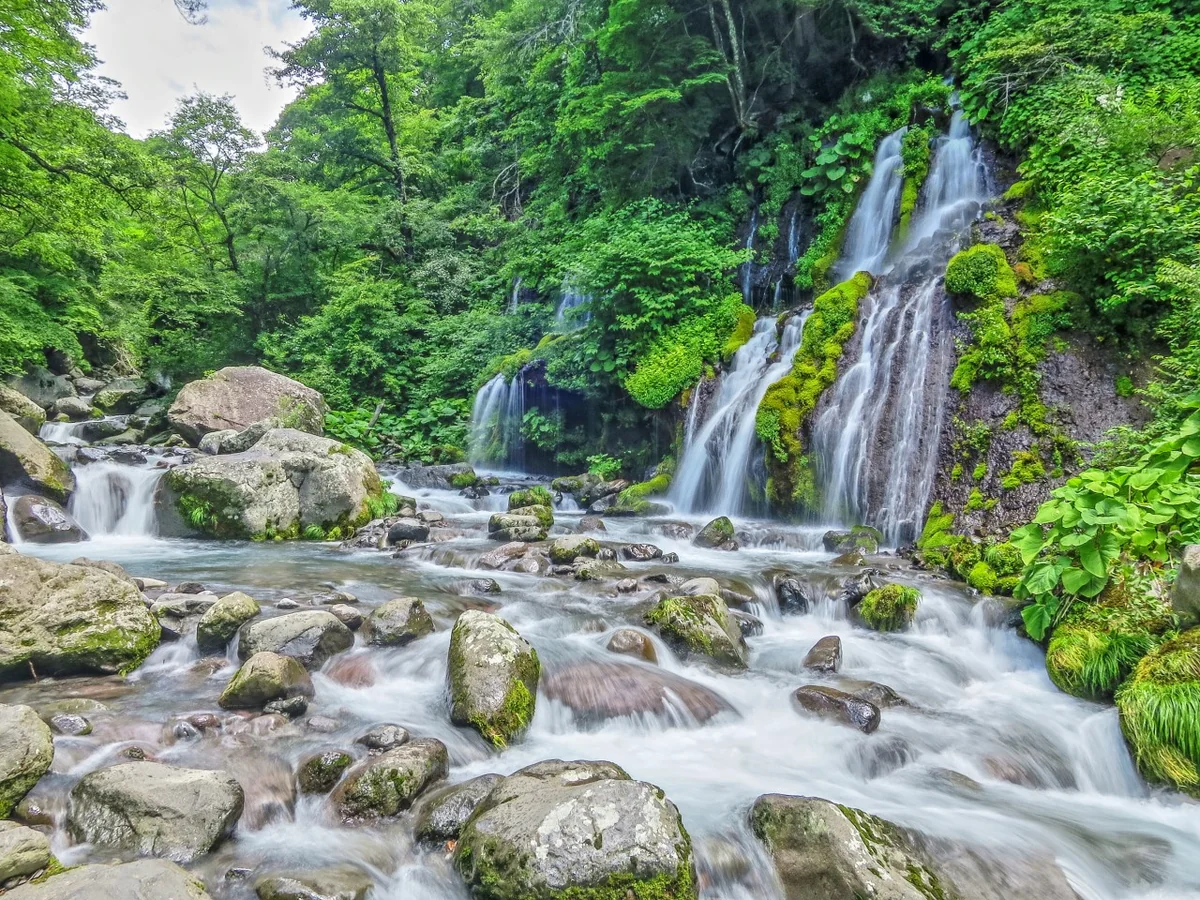 投稿写真：吐竜の滝と渓流