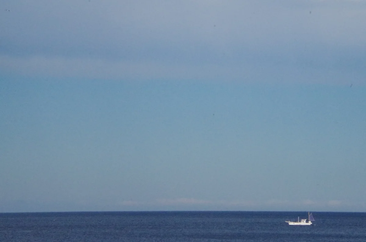 投稿写真：伊豆　夏の思い出
