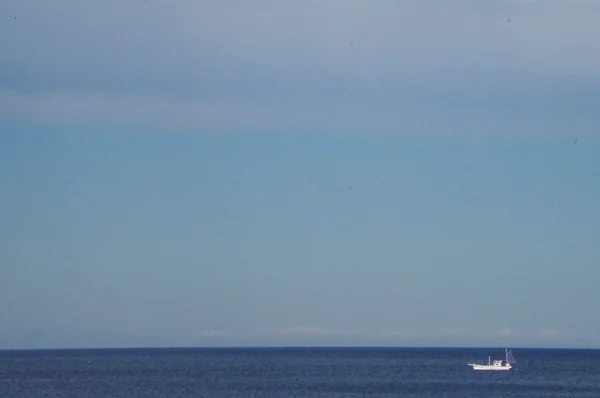 投稿：伊豆　夏の思い出