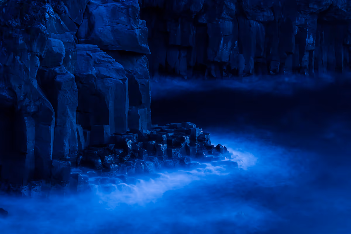 投稿写真：伊豆の城ケ崎海岸
