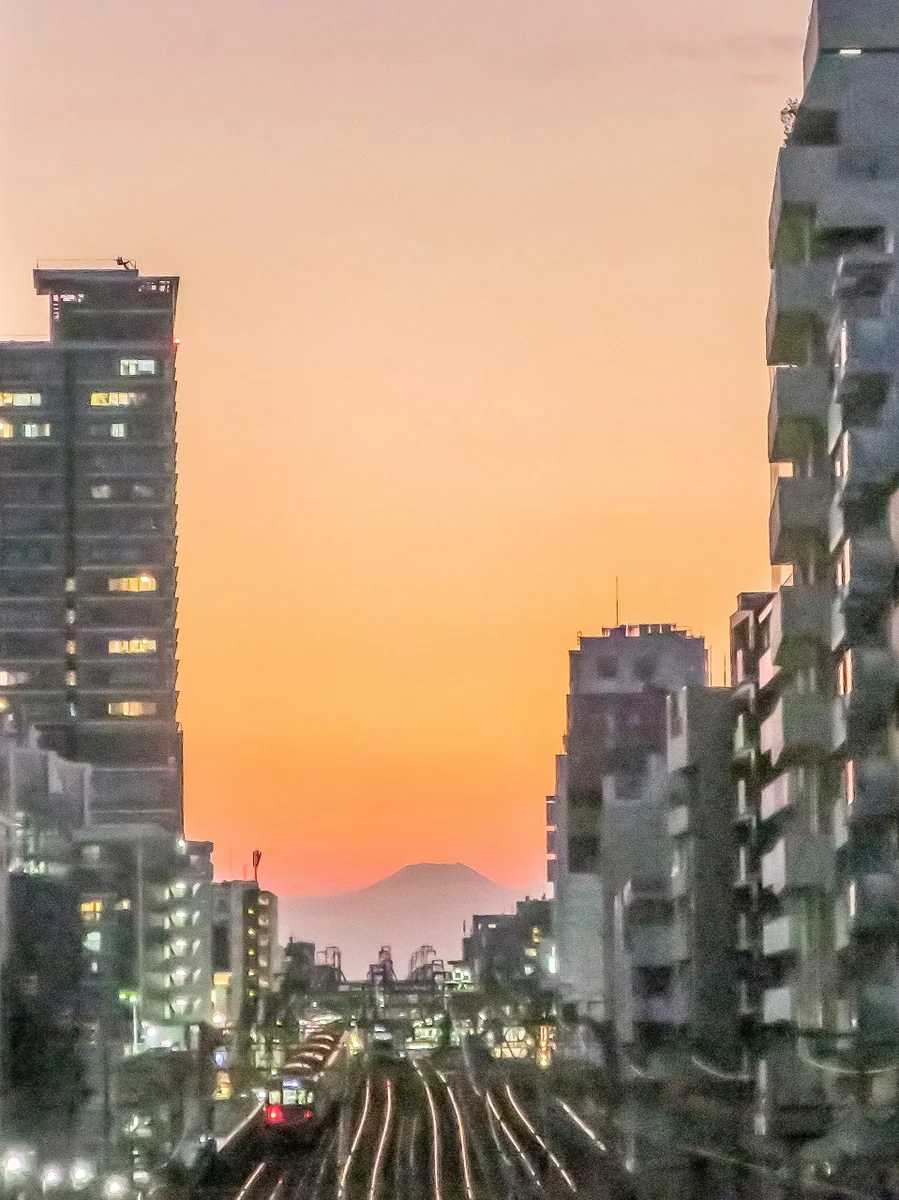 投稿写真：複々線と夕富士