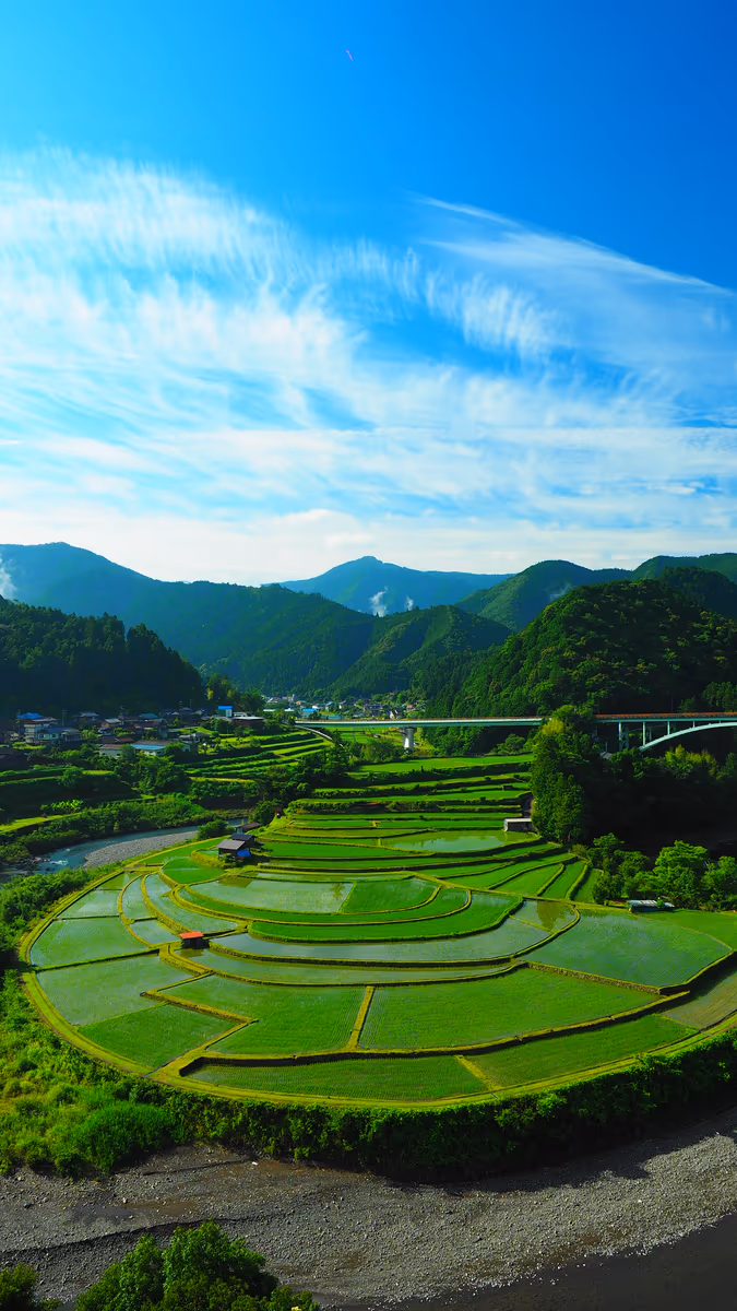 投稿写真：あらぎ島