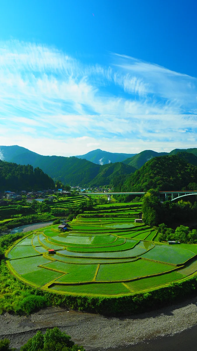 投稿写真：あらぎ島