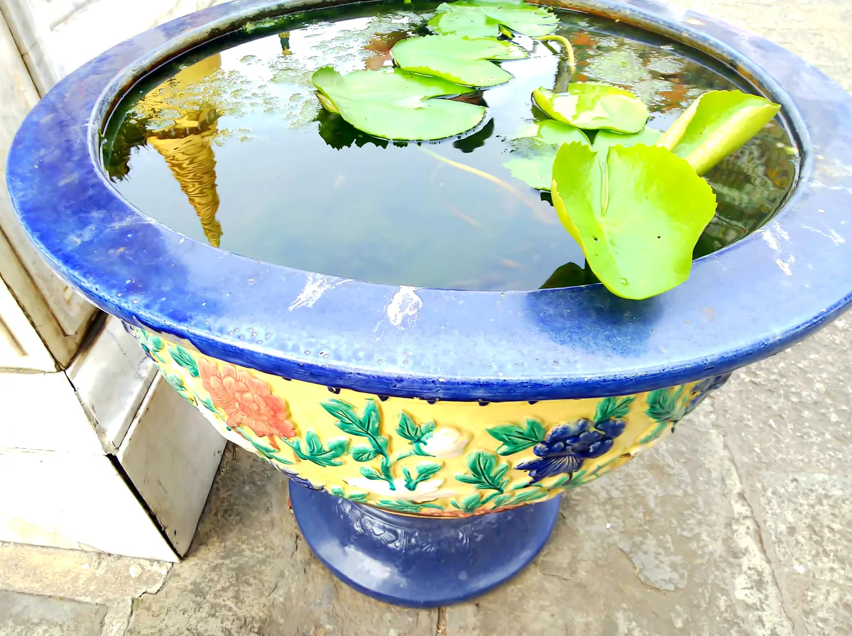 投稿写真：水鉢の中の仏塔