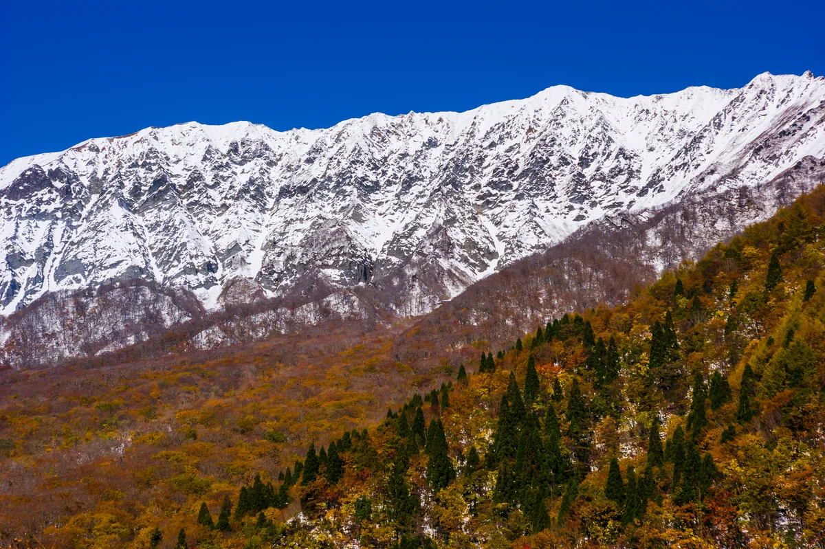 投稿写真：初冠雪の大山南壁