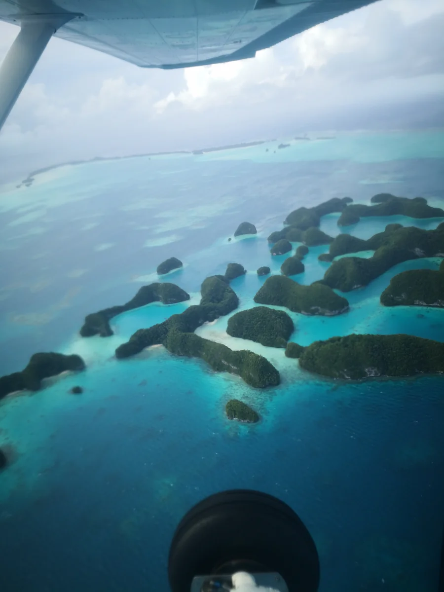 投稿写真：パラオの空から