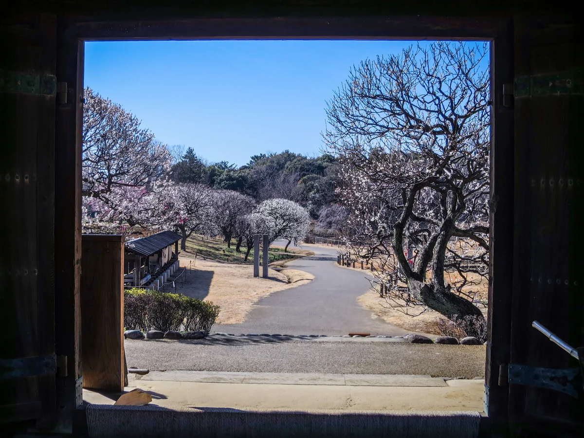 投稿写真：長屋門を額縁にして