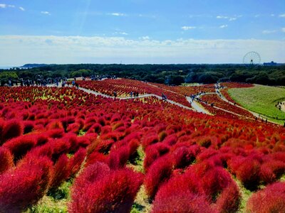  | 絶景事典