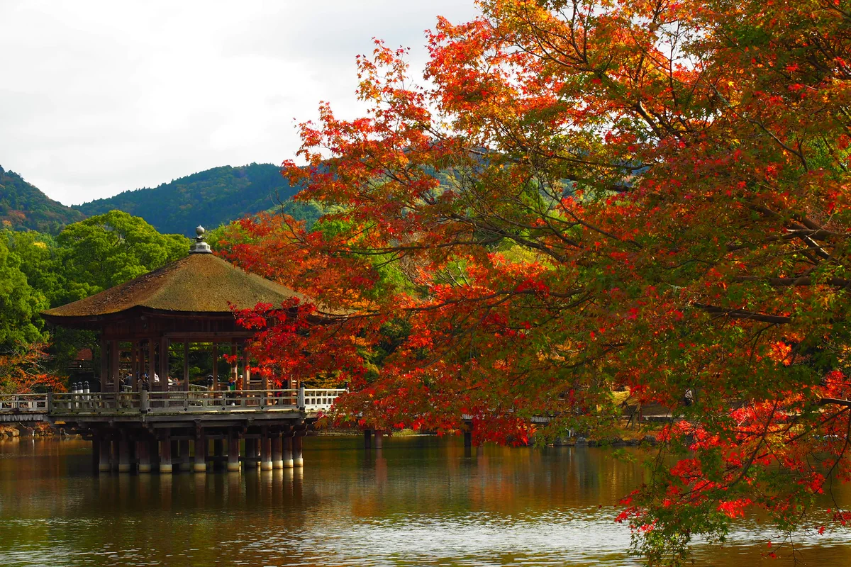 投稿写真：奈良　秋の浮御堂