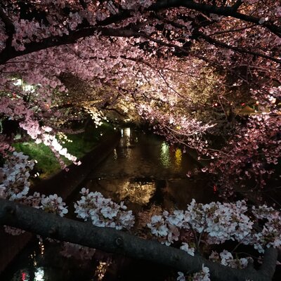  | 絶景事典