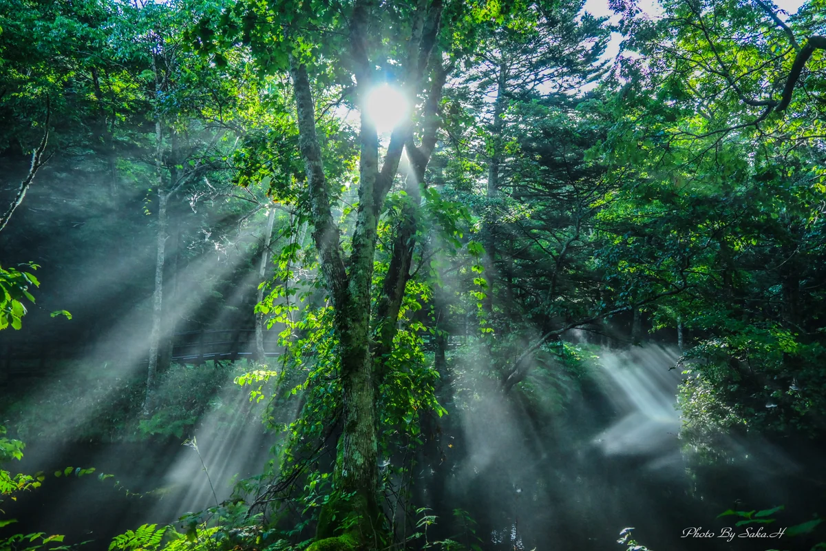 投稿写真：光芒