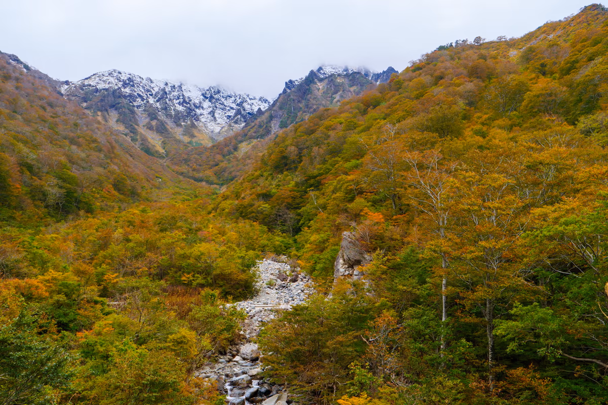 投稿写真：マチガ沢の紅葉
