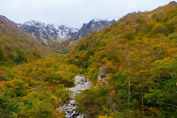 投稿：マチガ沢の紅葉