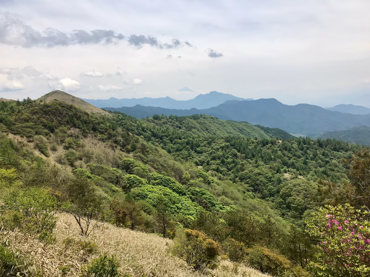 投稿写真：飯盛山に向かう
