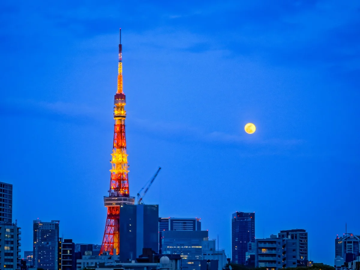 投稿写真：東京タワーと小望月