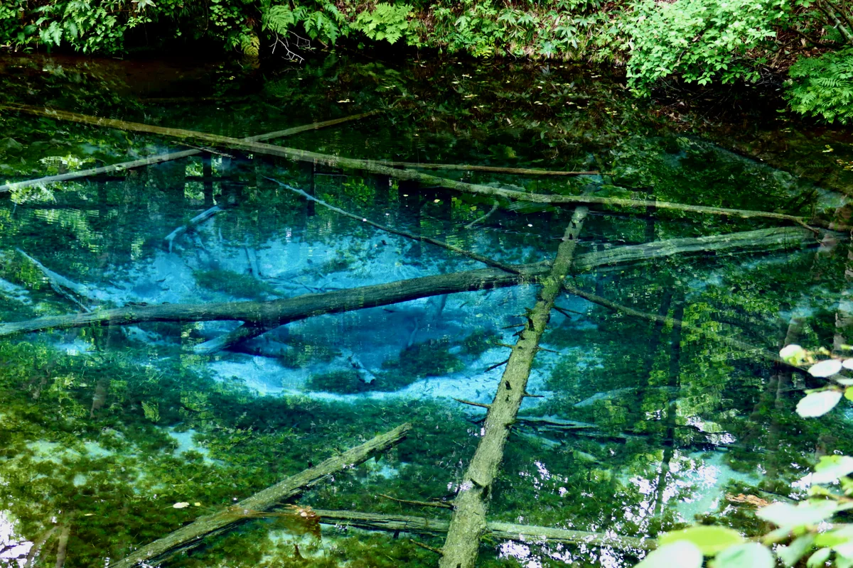投稿写真：神の子池