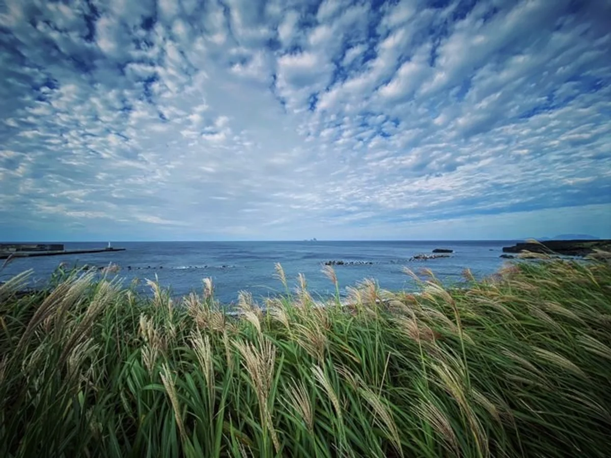 投稿写真：秋の景色