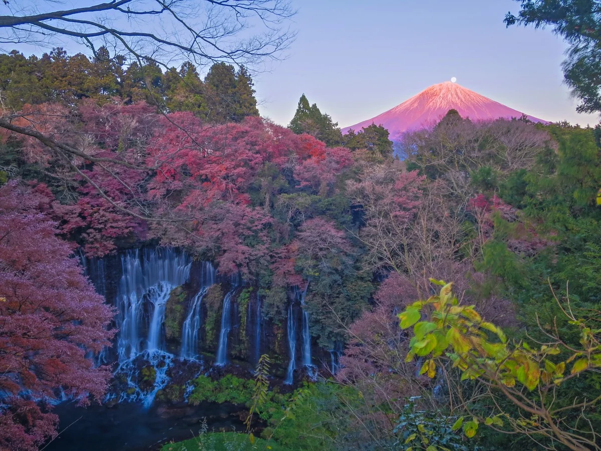 投稿写真：白糸の滝とパール紅富士
