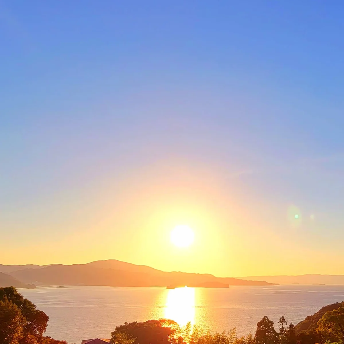 投稿写真：めっちゃ太陽の道☀️
