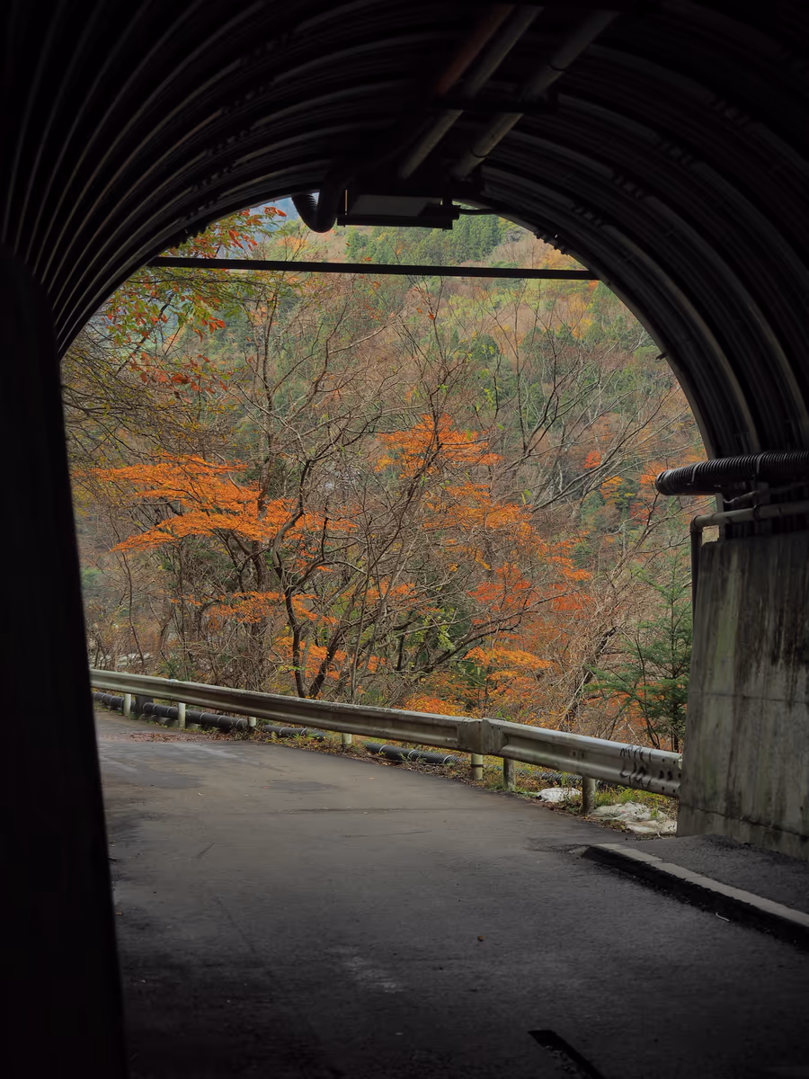 投稿写真：秋色の出口