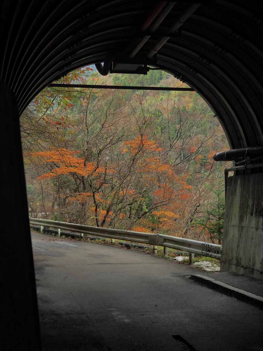 投稿写真：秋色の出口