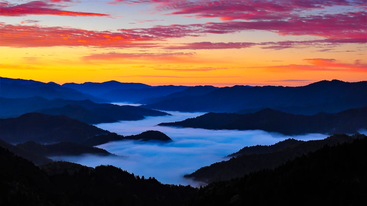 投稿写真：黎明小入峠の雲海