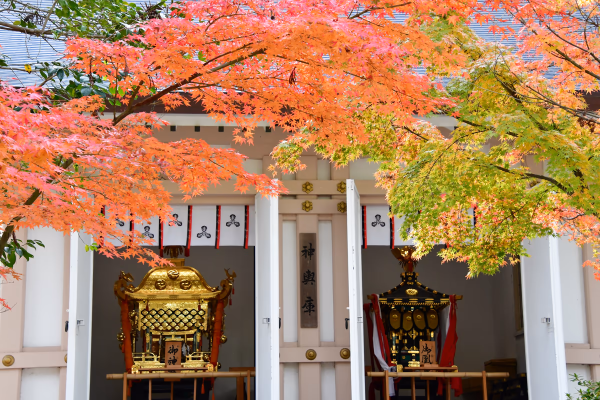投稿写真：多賀大社の神輿と紅葉