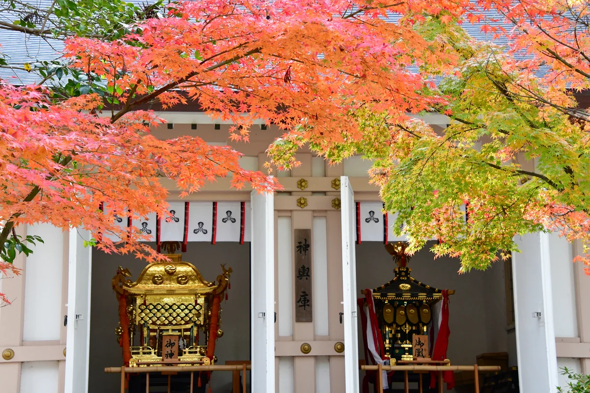 投稿写真：多賀大社の神輿と紅葉
