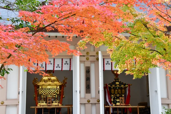 投稿：多賀大社の神輿と紅葉