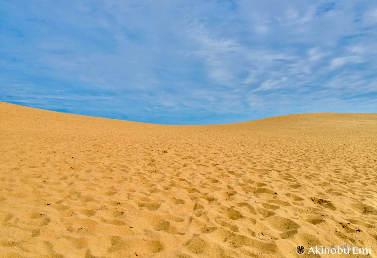 投稿写真：鳥取砂丘