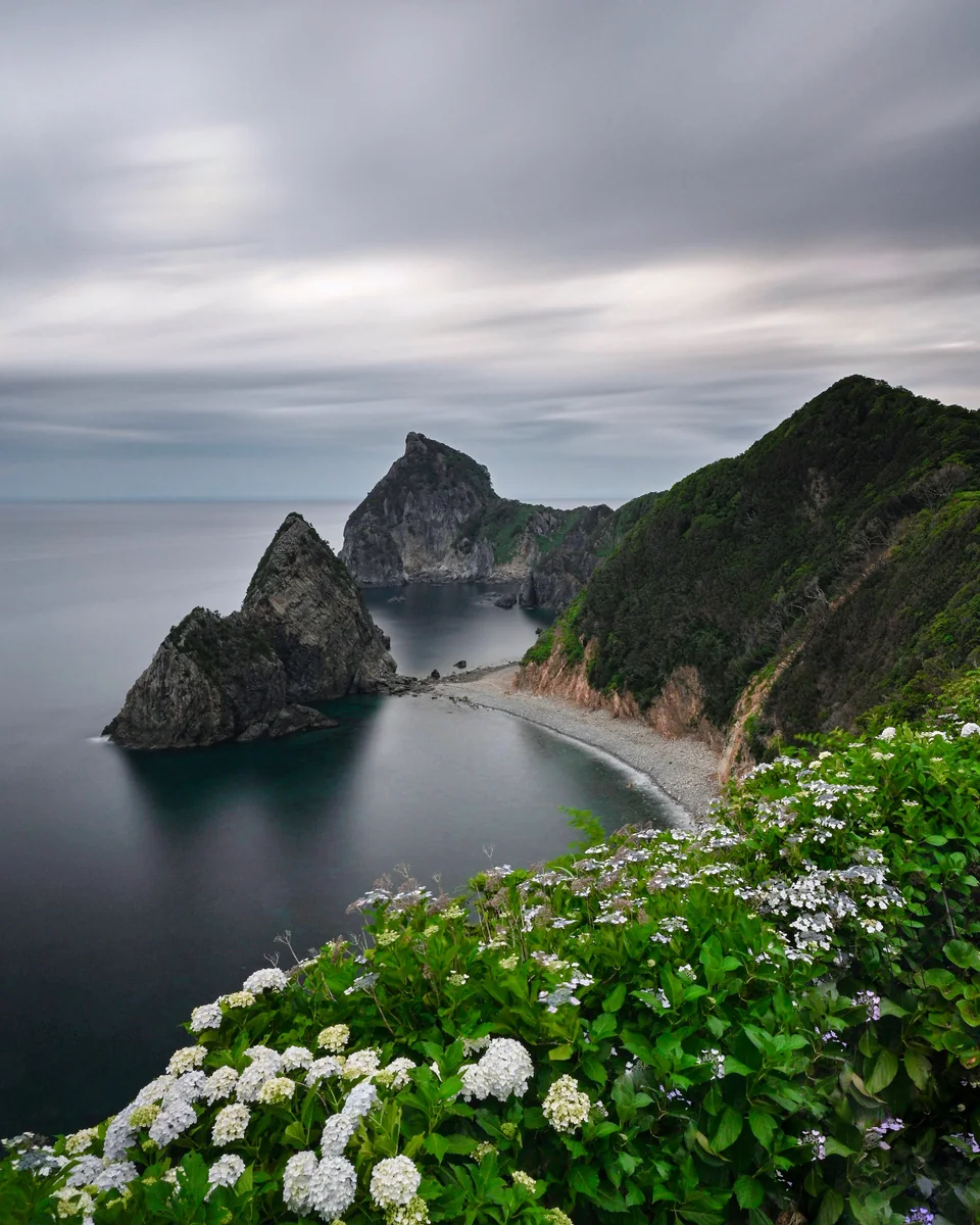 投稿写真：紫陽花と千貫門