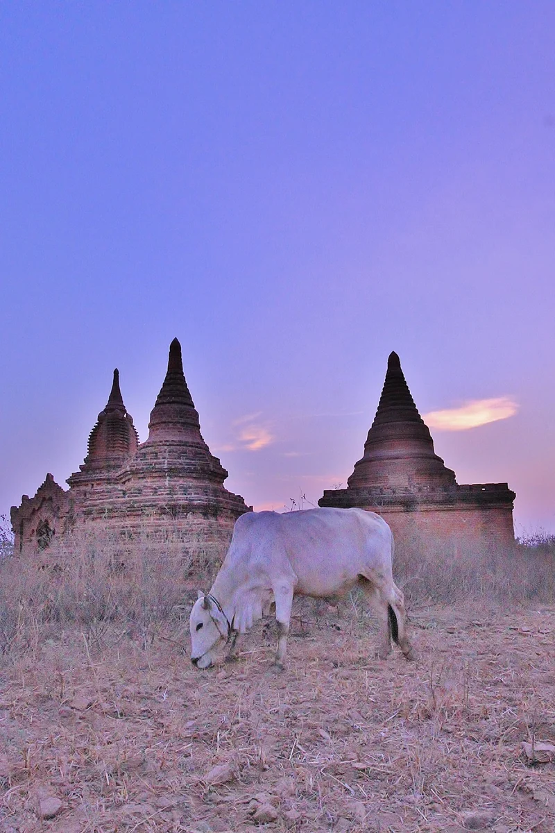 瀬戸山 萌水さんの投稿写真